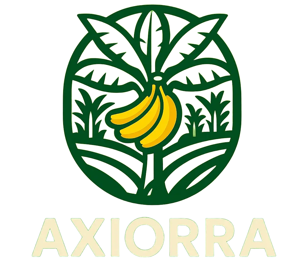Axiorra Logo