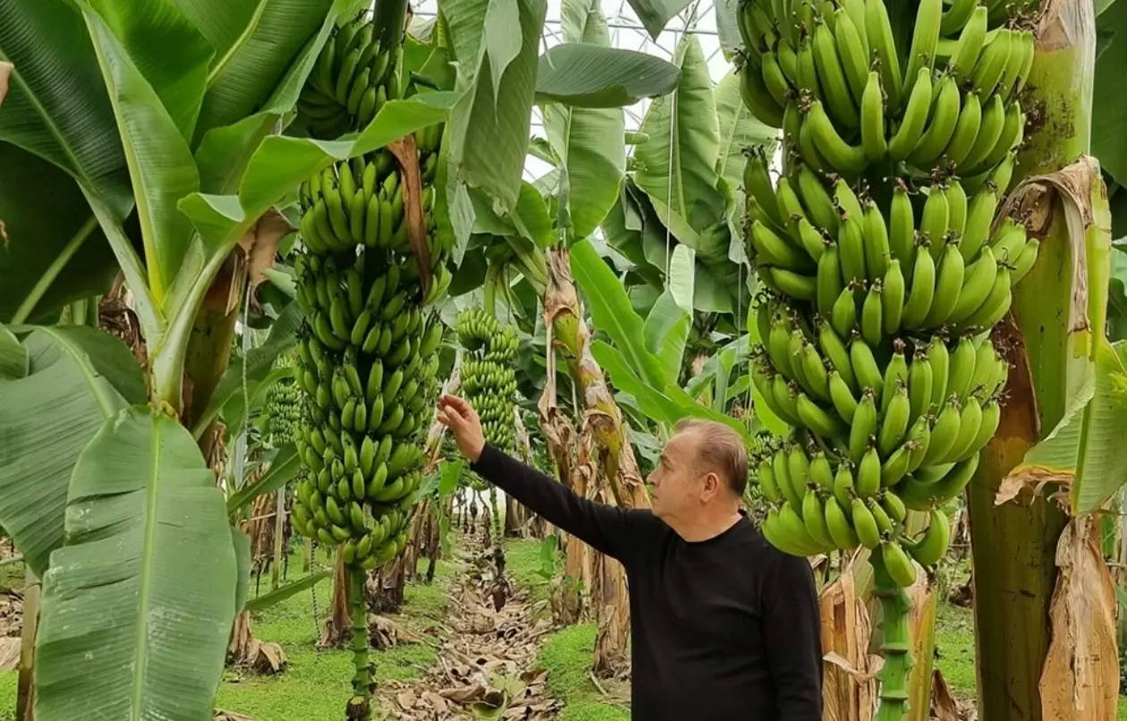 Tarım Teknolojileri Desteği